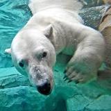 Brookfield Zoo
