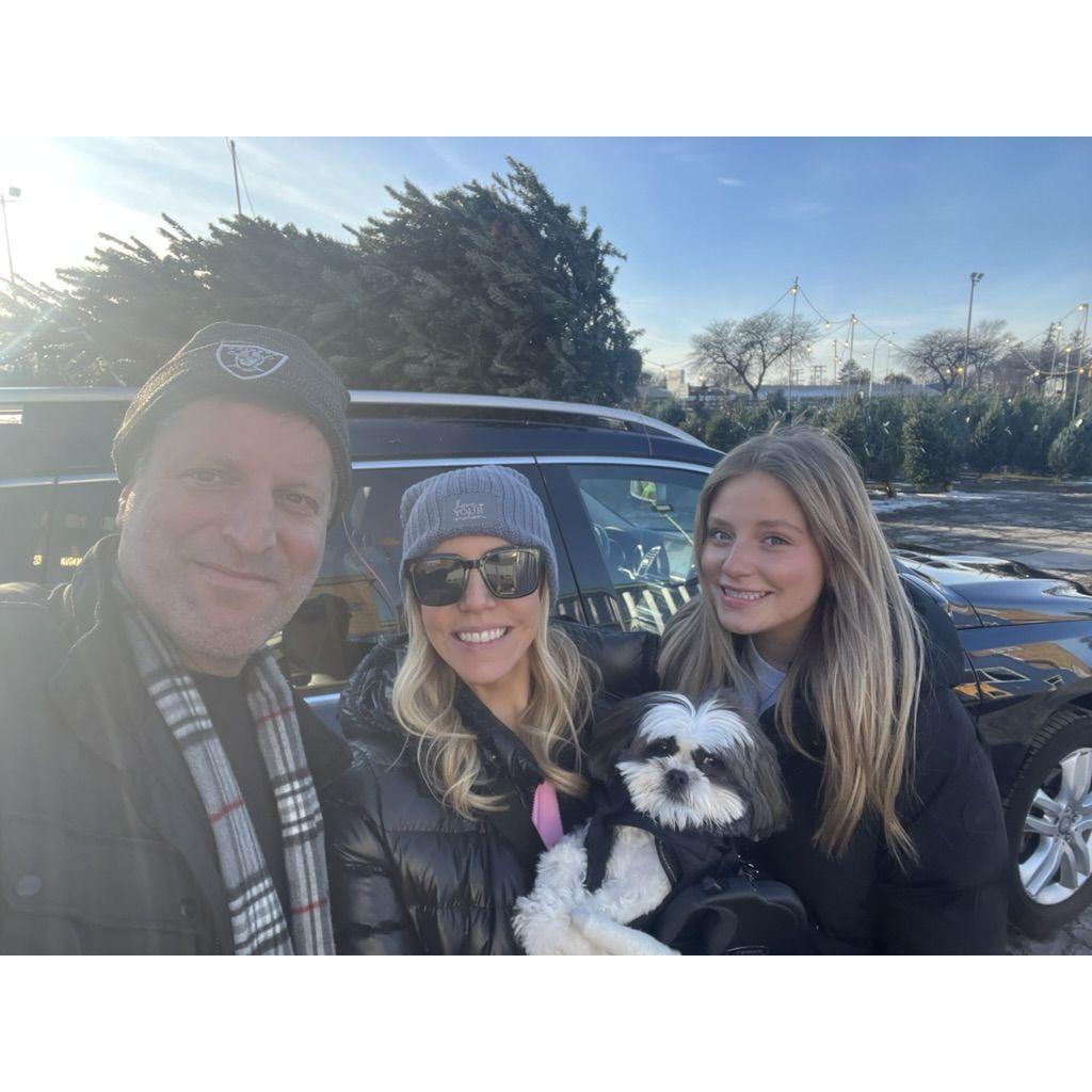 Christmas Tree Shopping