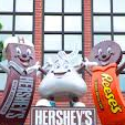 Chocolate World