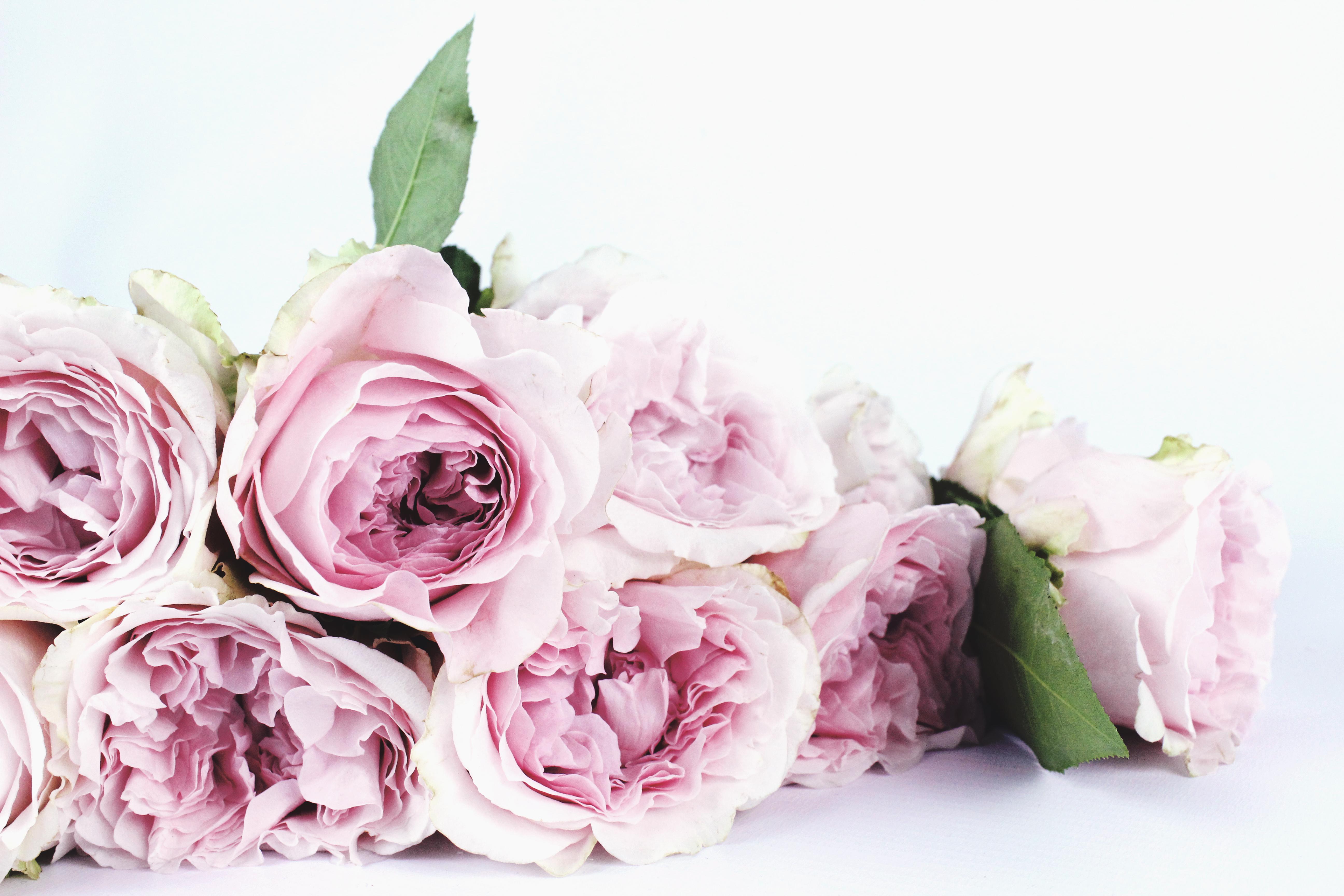 The Wedding Website of Anita Morgenstern and Layne McCarthy