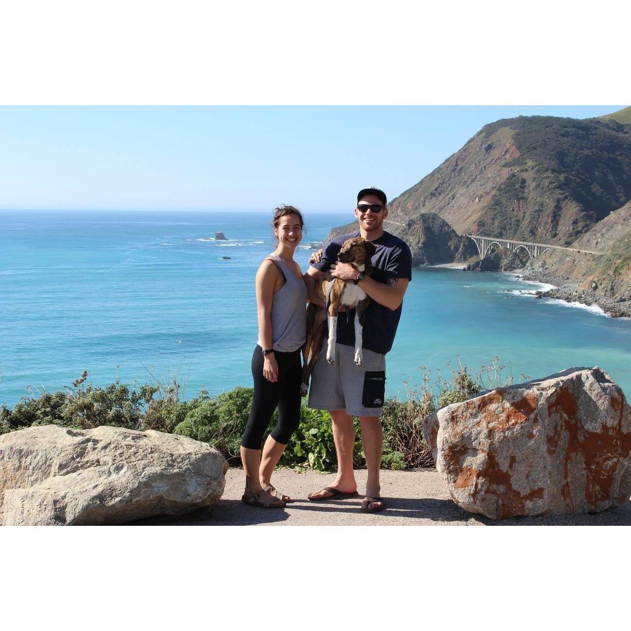 Our Very First Roadtrip down the California Coast with our puppy Kavika