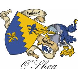 The Wedding Website of Terri Richards and Sean O'Shea