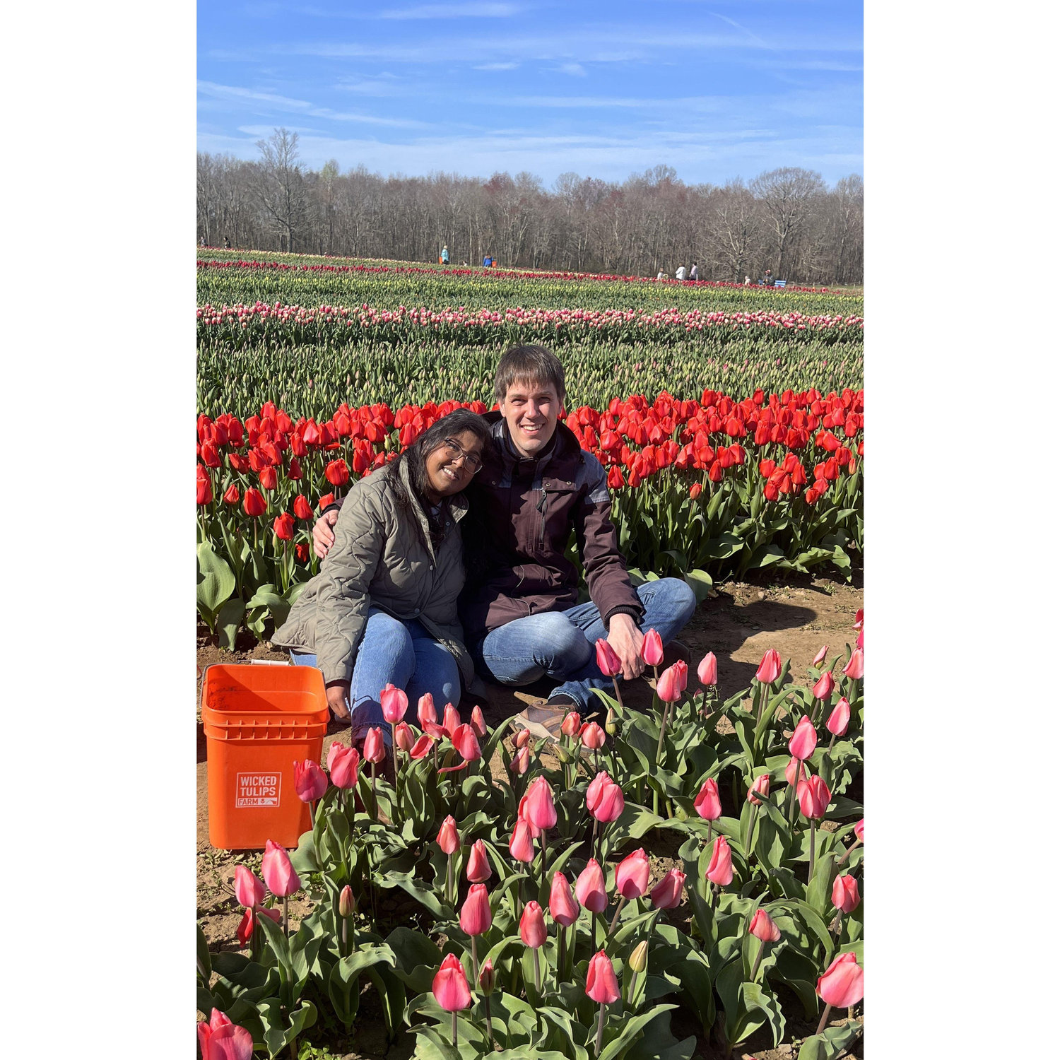 Ushering in spring together with the tulips of Rhode Island!