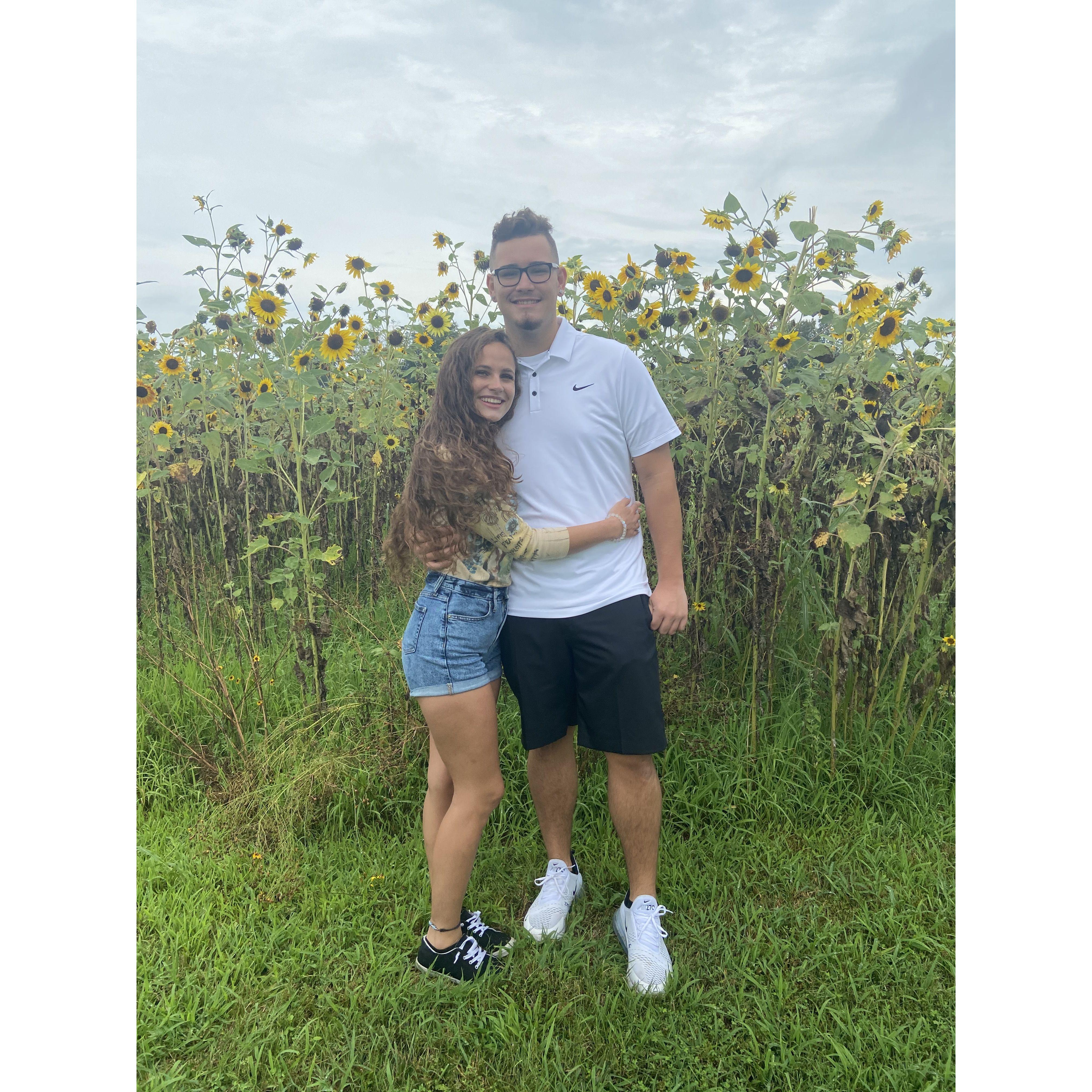 🌻