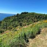 Maury Island Marine Park