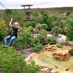 Gatorland