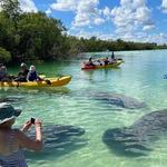 Kayak Tours