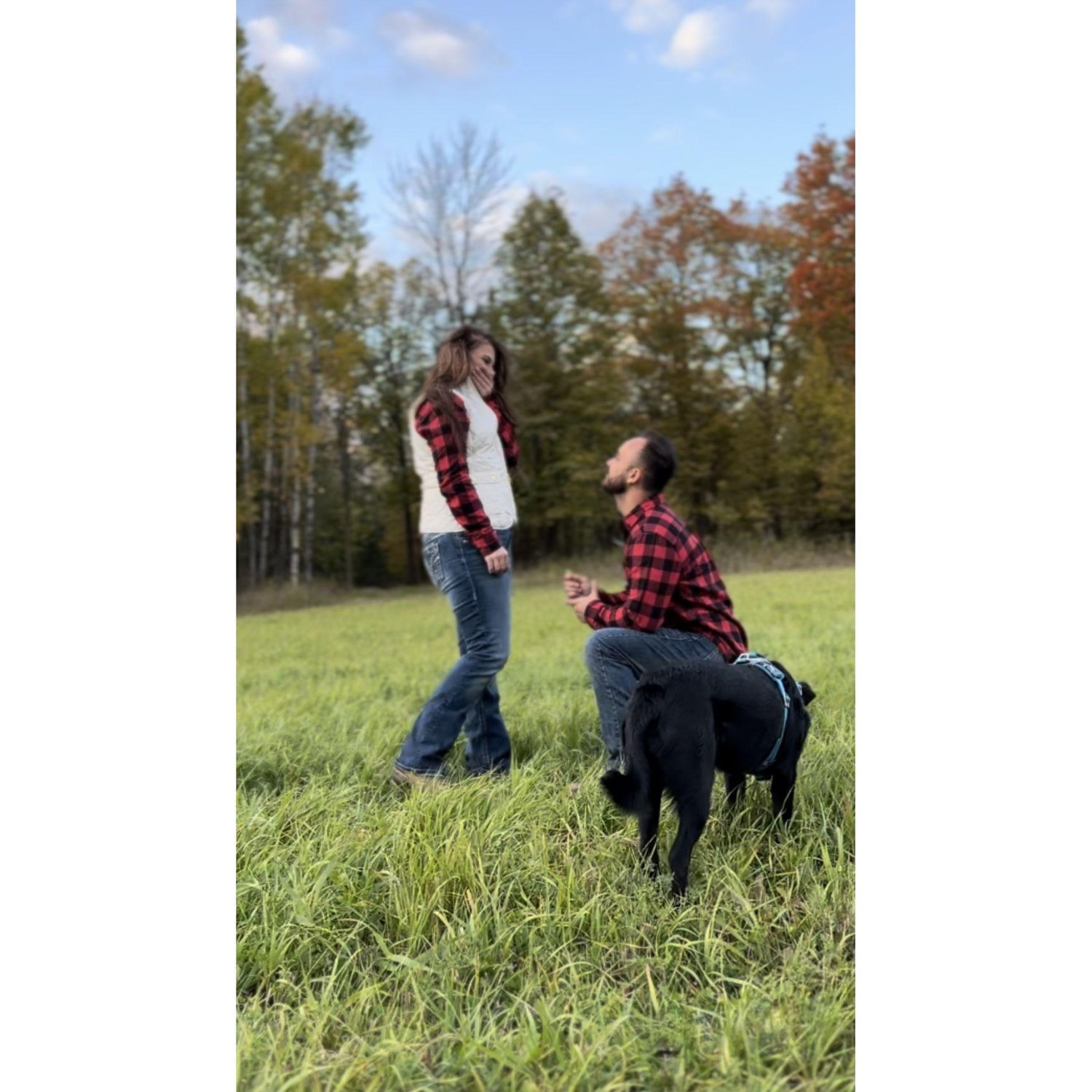 The Proposal September 30, 2024