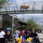Philadelphia Zoo