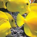 Baltimore Aquarium