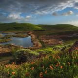 Coyote Hills Regional Park
