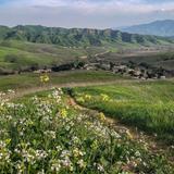 Chino Hills State Park