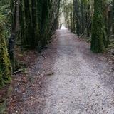 West Coast Wilderness Trail