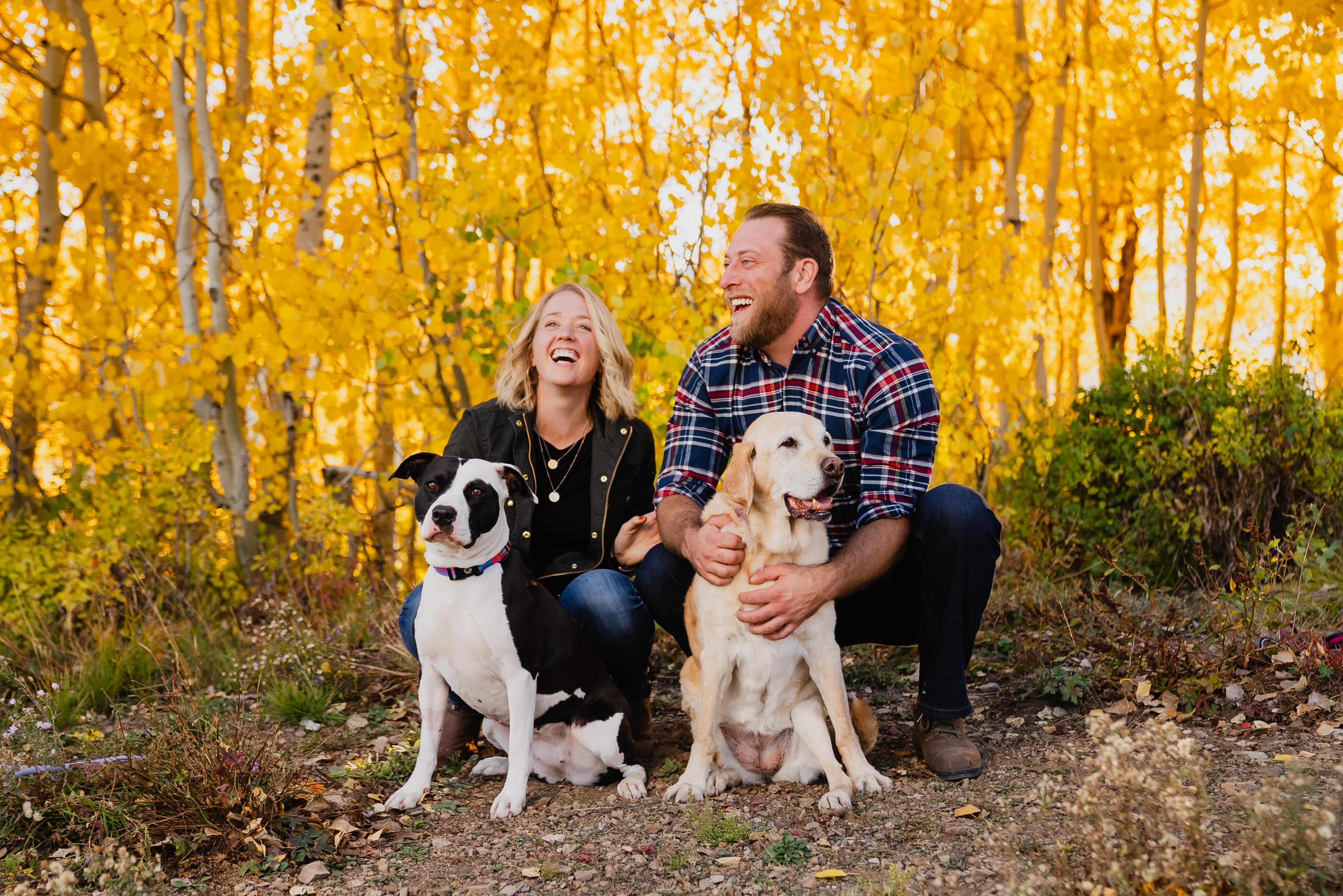 The Wedding Website of Amanda Hough and Michael Bacon