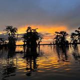 Swamp Tour at Lake Martin