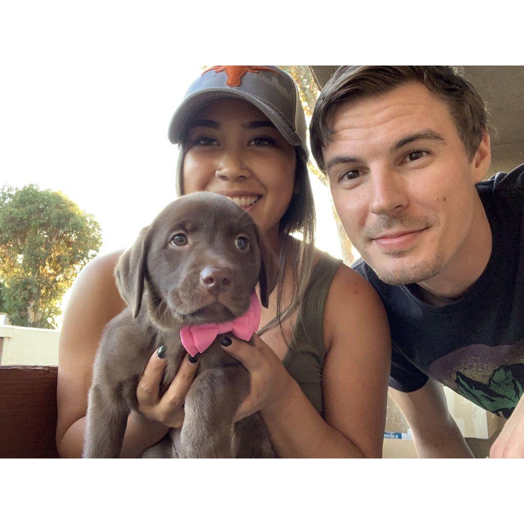 The day we got our Finn dog! - October 2019