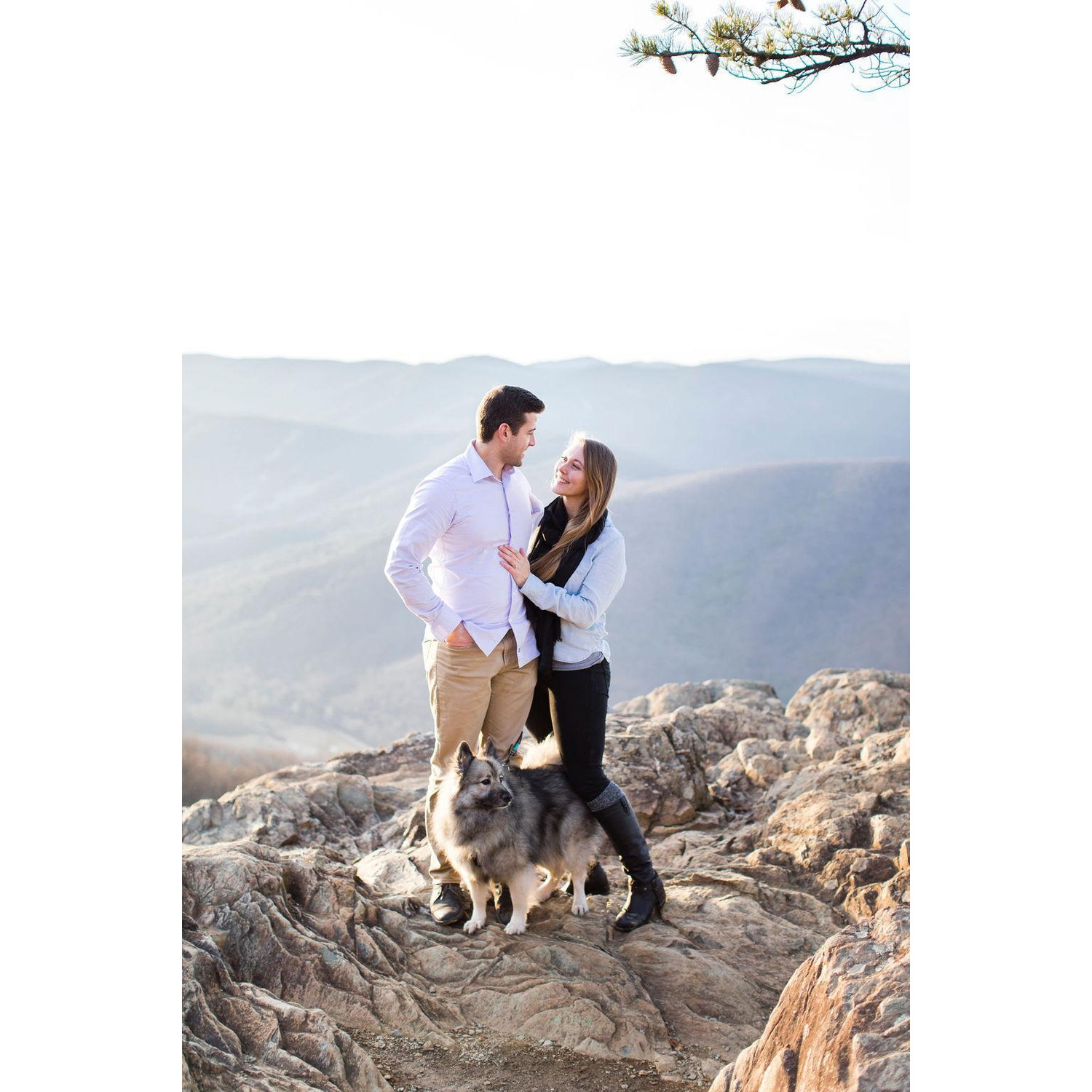 Proposal at Raven's Roost