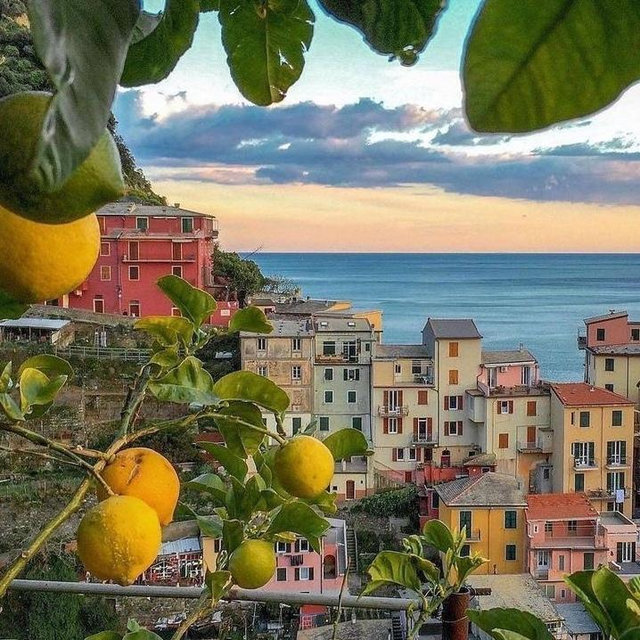 Our Italian Honeymoon Fund