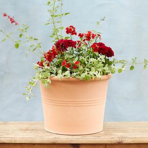 Bergs Banded Planter M