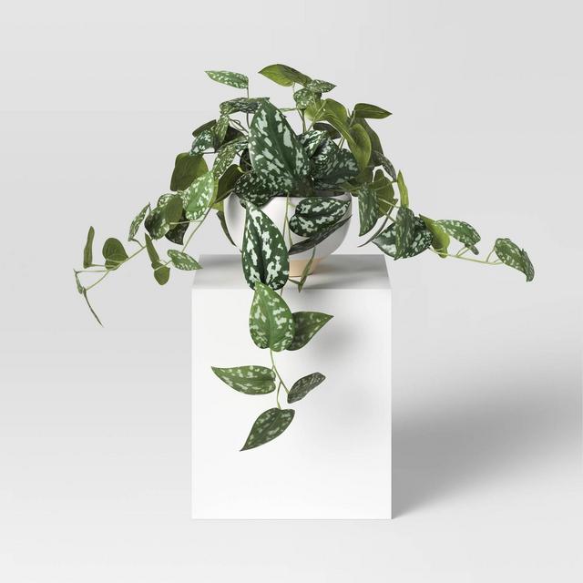 Trailing Plant - Threshold™