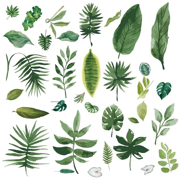 CRASPIRE Fern Leaf Wall Decals Stickers Green Plants Leaves Window Waterproof Removable Vinyl Peel and Stick Wall Sling Art for Classroom Nursery Bedroom Living Room Decor