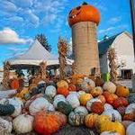Goebbert's Farm & Garden Center - South Barrington, IL