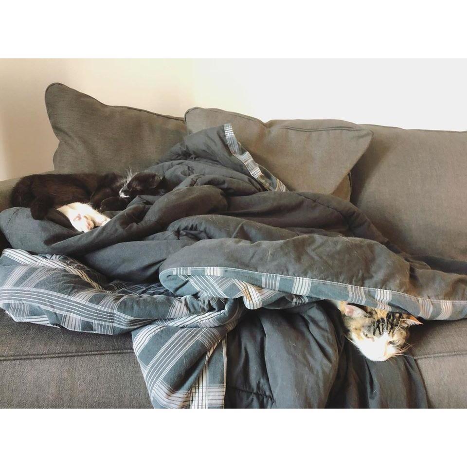 Mumble (left) -- Taylor (right)