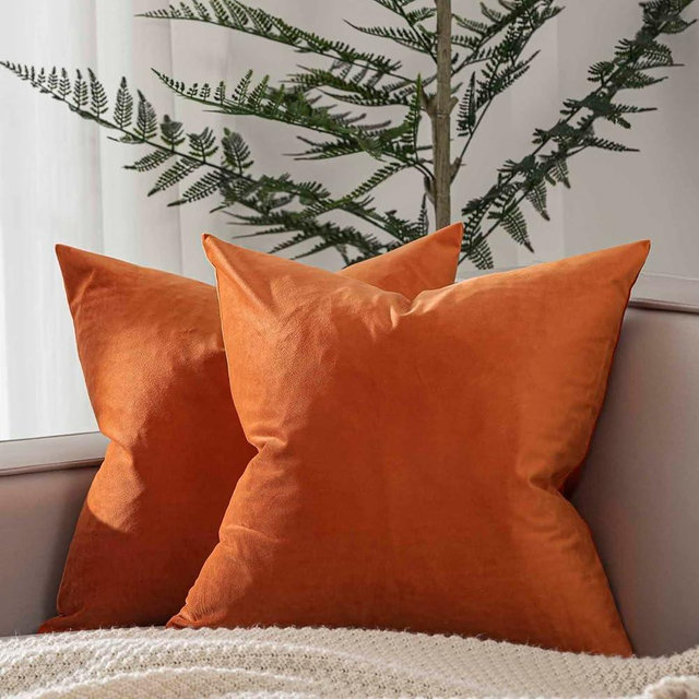 JUSPURBET Velvet Pillow Covers 20x20 inch Set of 2 Decorative Throw Pillow Covers for Couch Sofa Bed Soft Cushion Covers Cases with Hidden Zipper for Living Room Home Decor,Burnt Orange