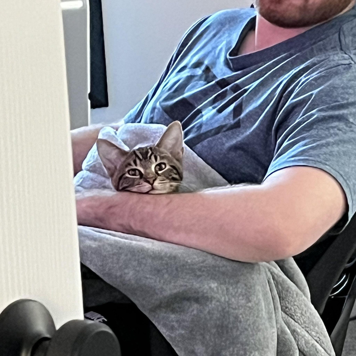 Martin's new cuddle buddy (September 2024)