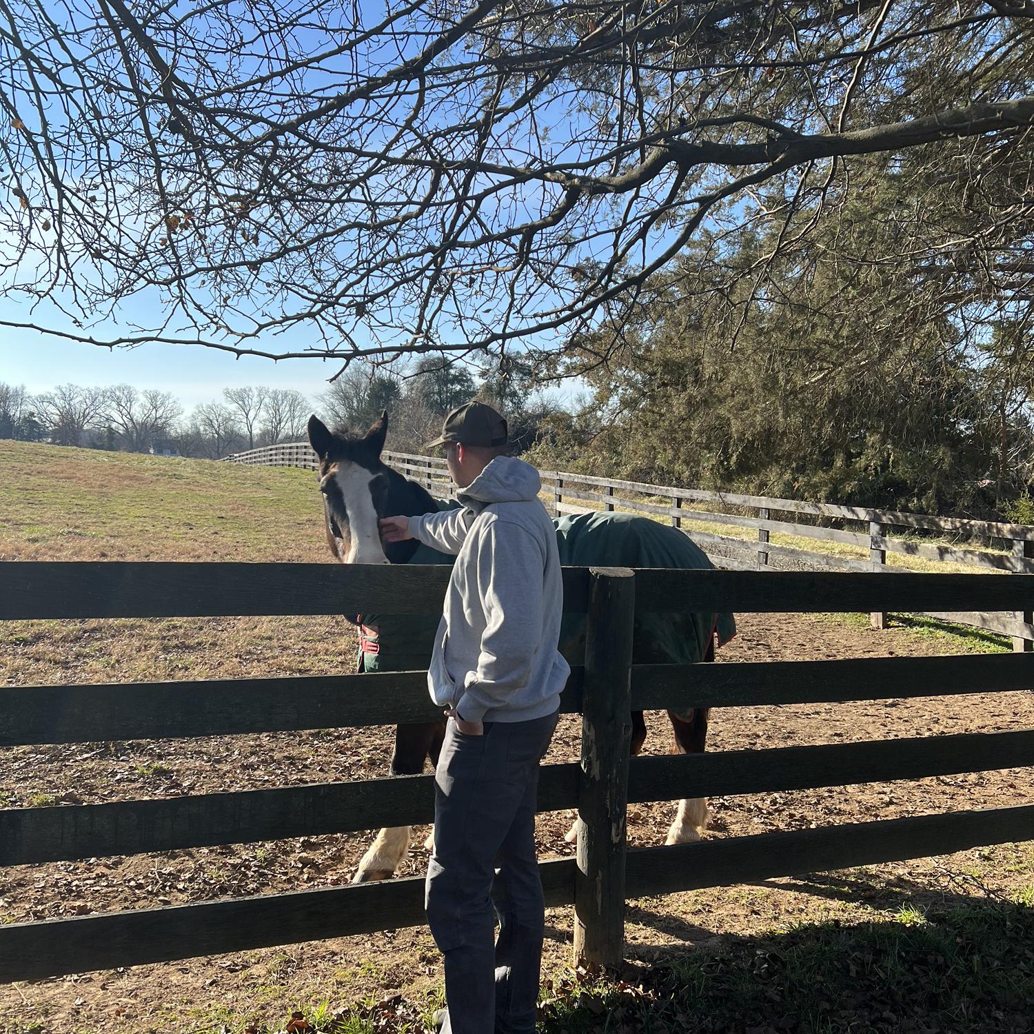 I took Jake to the barn where I grew up riding