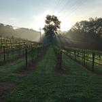 Eagles Rest Cellars