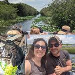 Airboats & Alligators