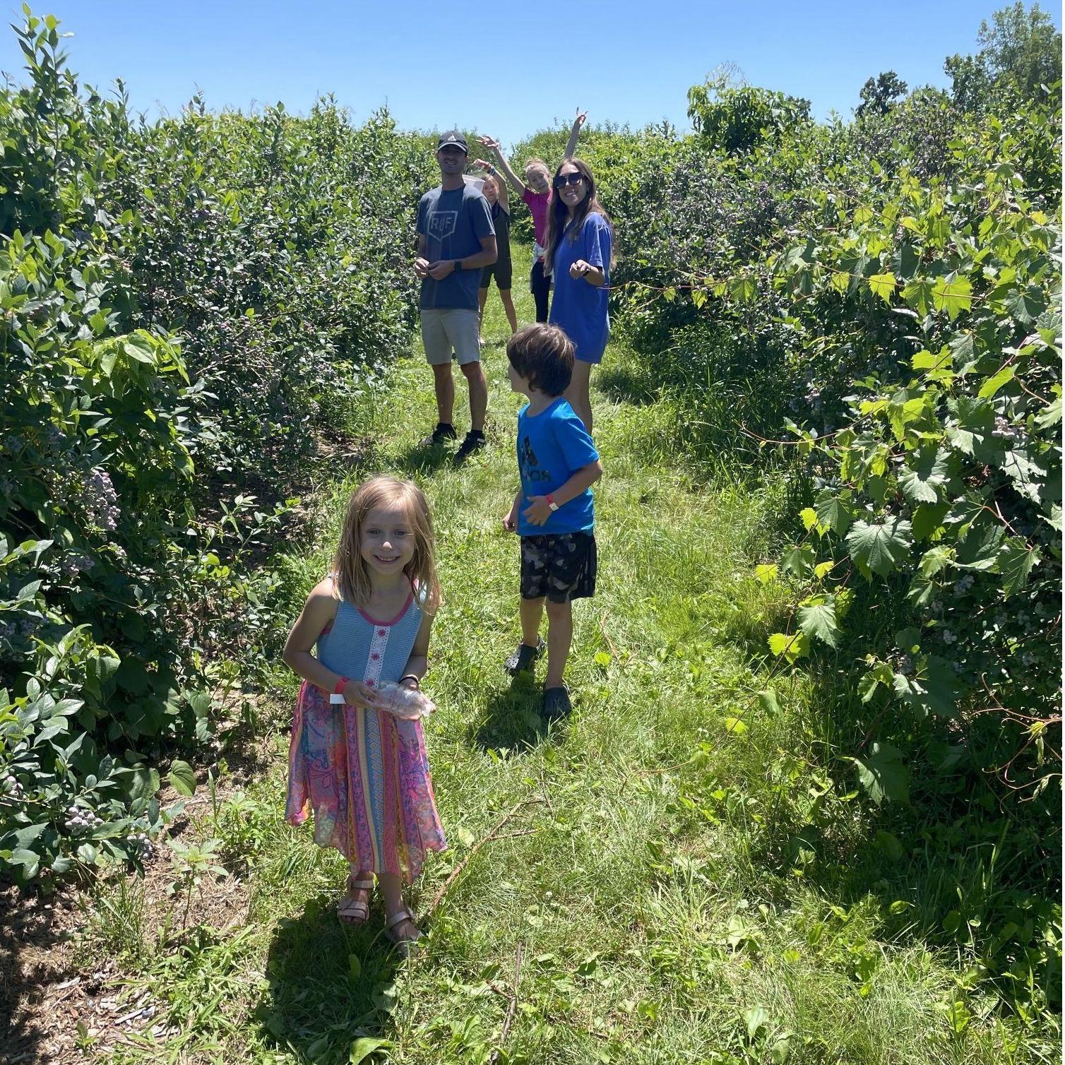 Spicers Apple Orchard