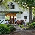Spendthrift Farm
