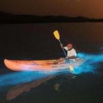 Bahía Bioluminiscente