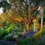 Knockpatrick Gardens