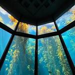 Monterey Bay Aquarium