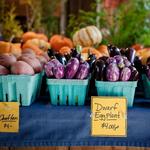 Ithaca Farmers Market