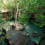 Swim the Cenotes