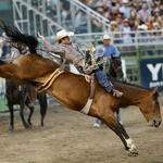 Jackson Hole Rodeo