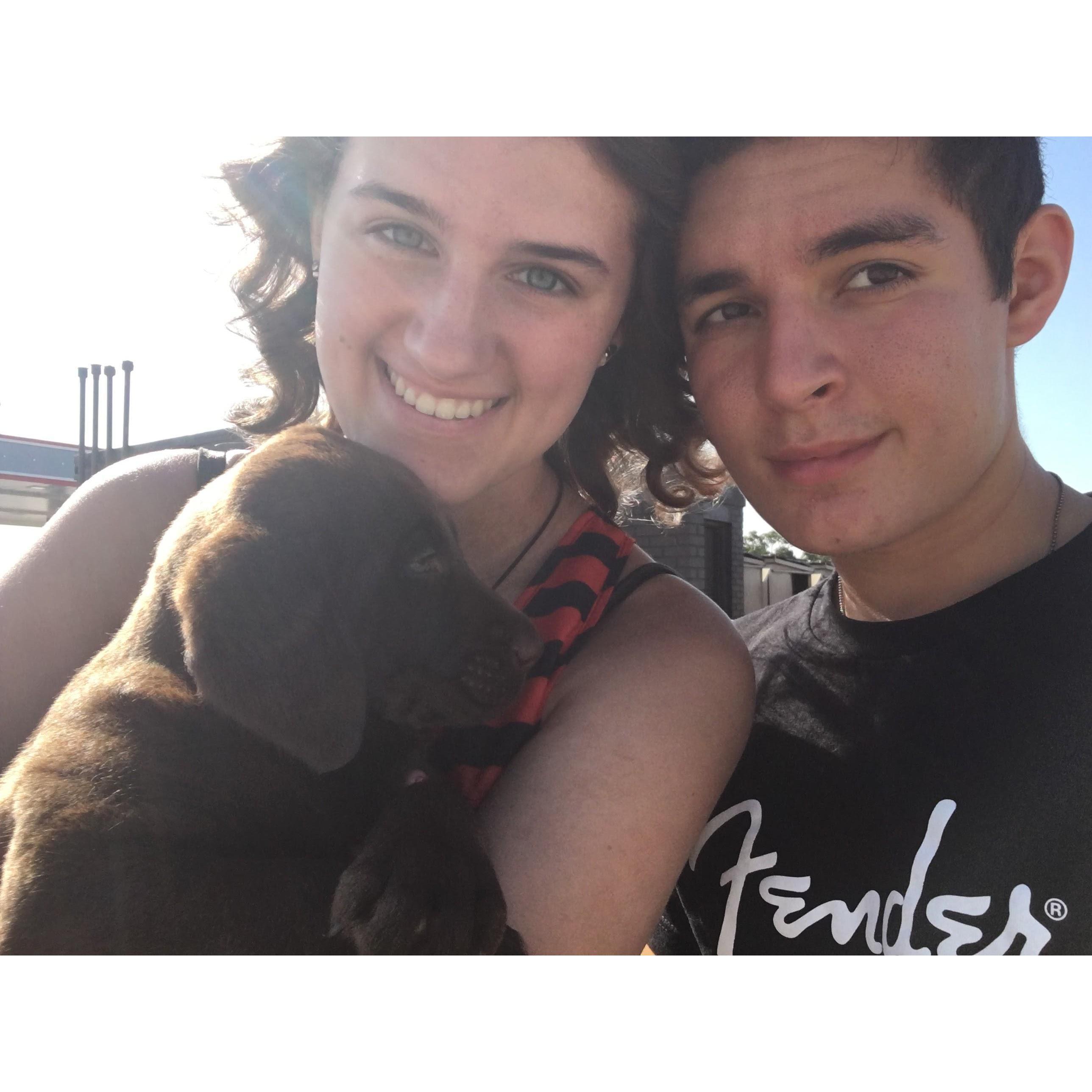 We got our puppy!