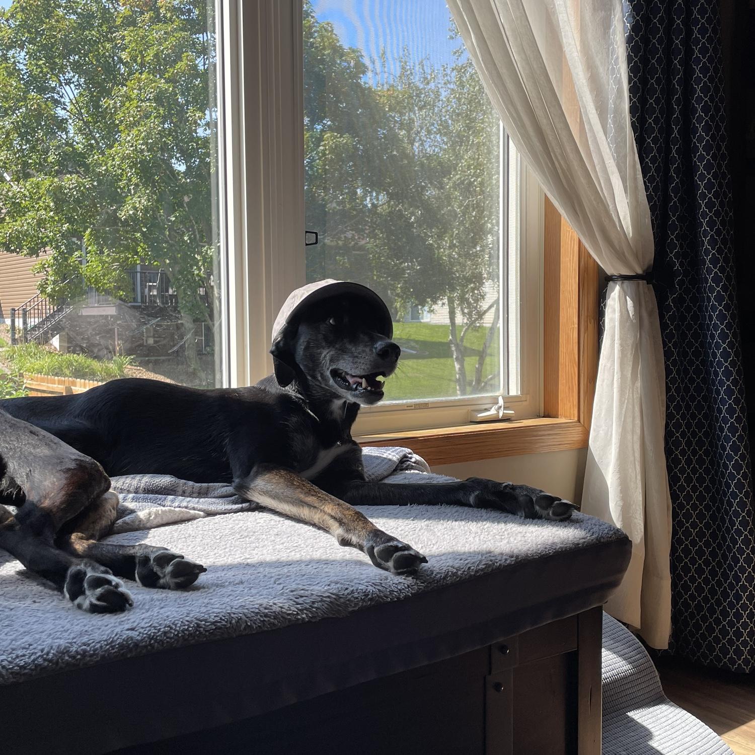 Juno