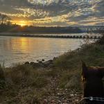 Sacramento River Trail