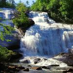 DuPont State Recreational Forest