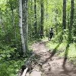 Hartley Nature Center