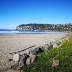Sumner Beach