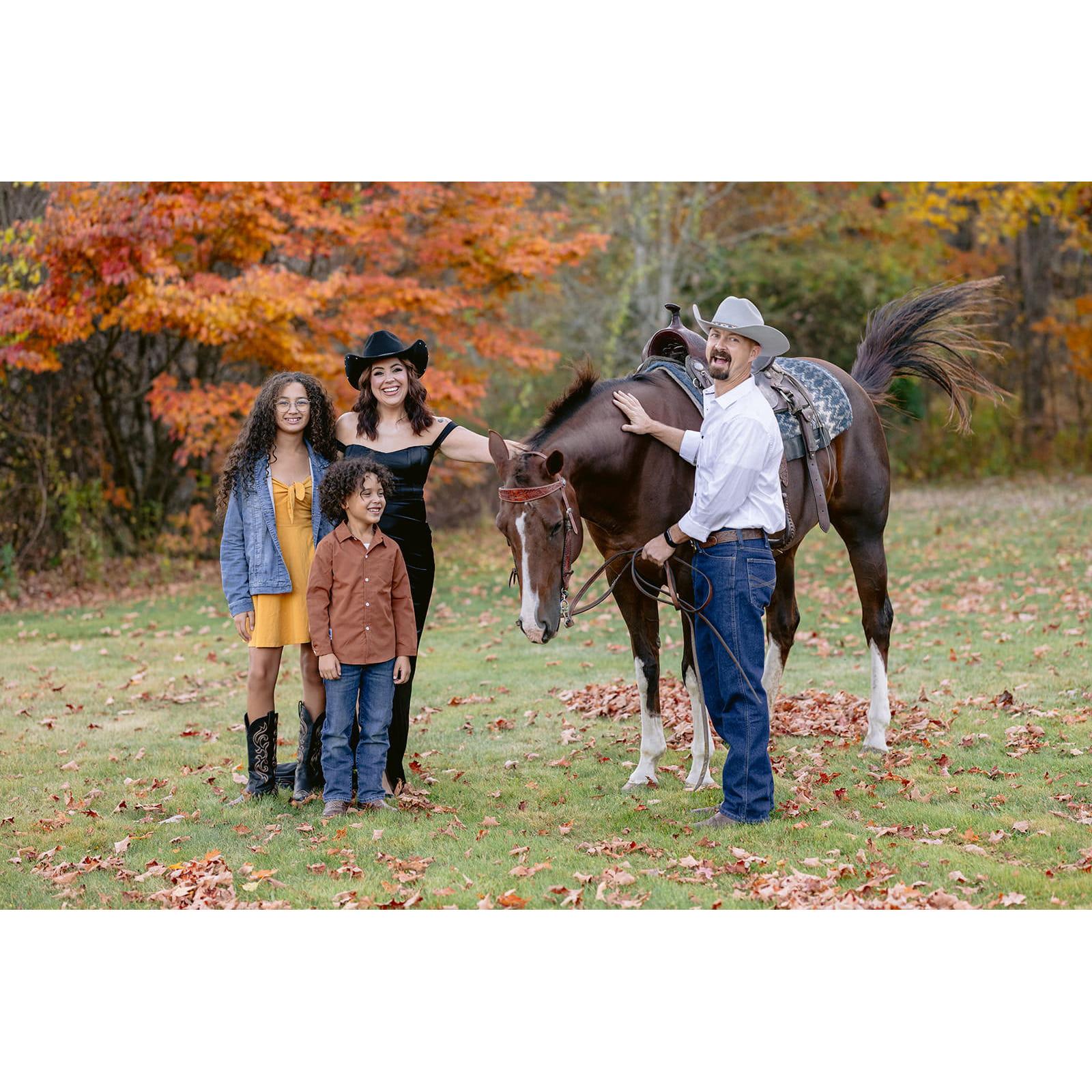 We all love animals especially horses and cows