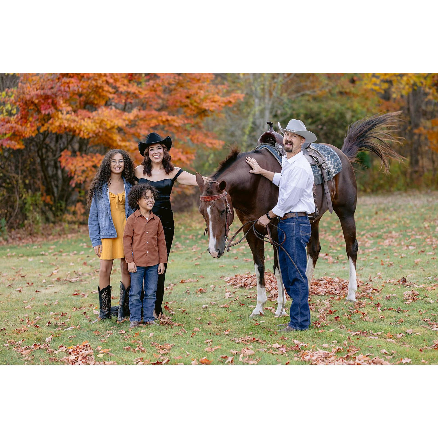 We all love animals especially horses and cows