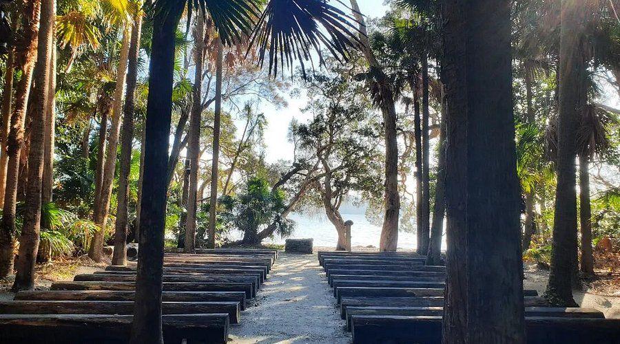 The Wedding Website of Nikita Nandoskar and Alex Apollonov