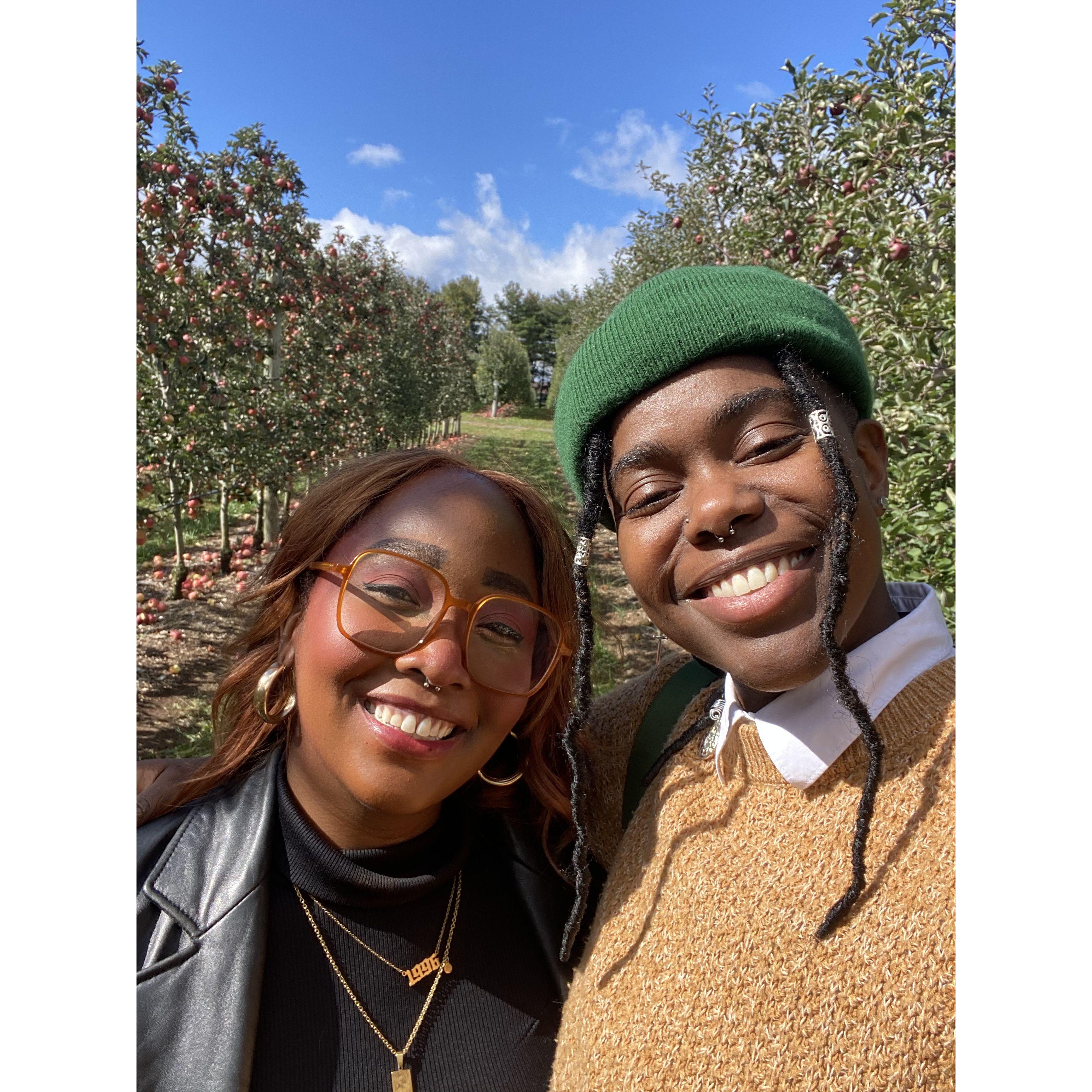 Apple picking which is one of our favorite fall traditions.